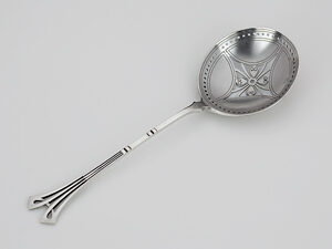 Zilveren natfruit/strooilepeltje-0